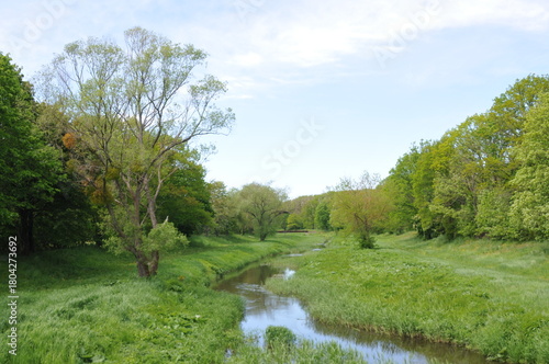 Wallpaper Mural schwarze elster bie blesa senftenberg schwarzheide koschen Torontodigital.ca