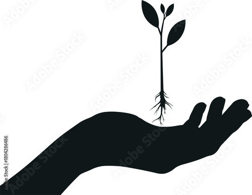 Growth in Hand: A silhouette of a hand cradles a young seedling, symbolizing care, nurture, and the potential for new life.