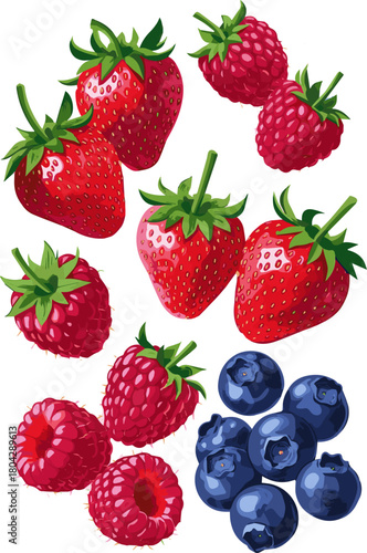 Create a Fresh Mixed Berries Strawberry Raspberry and Blueberries vector art with white background..