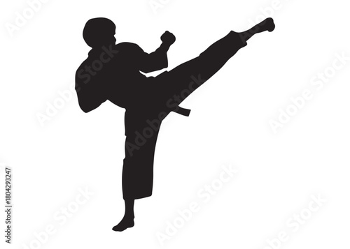 karate logo silhouette vector, karate fighter silhouette vector illustration, karate fight martial silhouette logo, karate fight martial arts logo silhouettes vector on white background