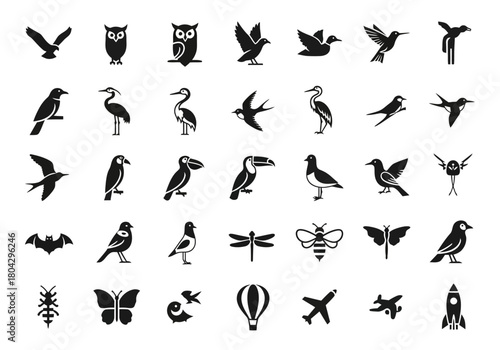 A comprehensive set of flying object glyph icons in a minimalist black silhouette style. Includes birds, insects, aircraft, and transportation vectors