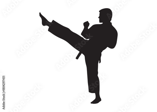 karate logo silhouette vector, karate fighter silhouette vector illustration, karate fight martial silhouette logo, karate fight martial arts logo silhouettes vector on white background