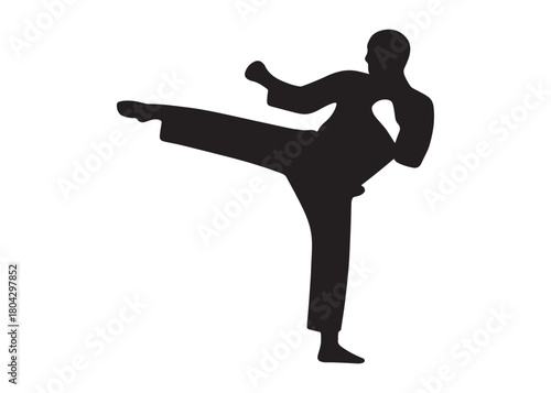 karate logo silhouette vector, karate fighter silhouette vector illustration, karate fight martial silhouette logo, karate fight martial arts logo silhouettes vector on white background