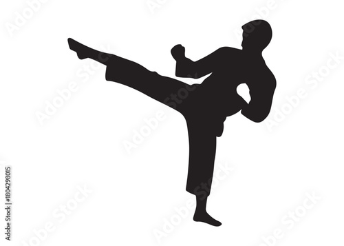 karate logo silhouette vector, karate fighter silhouette vector illustration, karate fight martial silhouette logo, karate fight martial arts logo silhouettes vector on white background