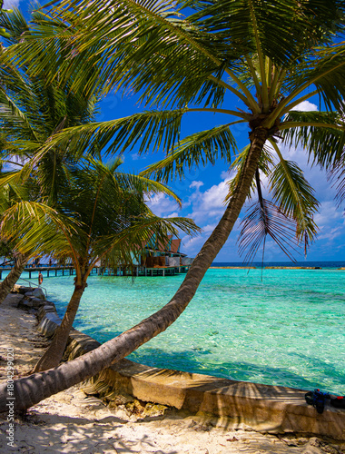 Fototapeta Naklejka Na Ścianę i Meble -  Island with white sand beach and palm trees in Maldives