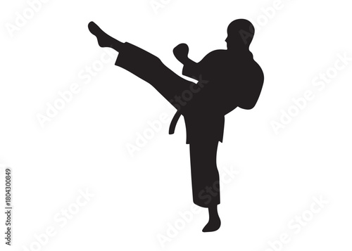 karate logo silhouette vector, karate fighter silhouette vector illustration, karate fight martial silhouette logo, karate fight martial arts logo silhouettes vector on white background