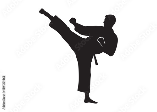 karate logo silhouette vector, karate fighter silhouette vector illustration, karate fight martial silhouette logo, karate fight martial arts logo silhouettes vector on white background