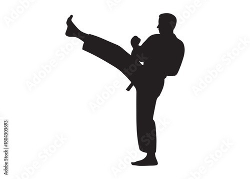 karate logo silhouette vector, karate fighter silhouette vector illustration, karate fight martial silhouette logo, karate fight martial arts logo silhouettes vector on white background