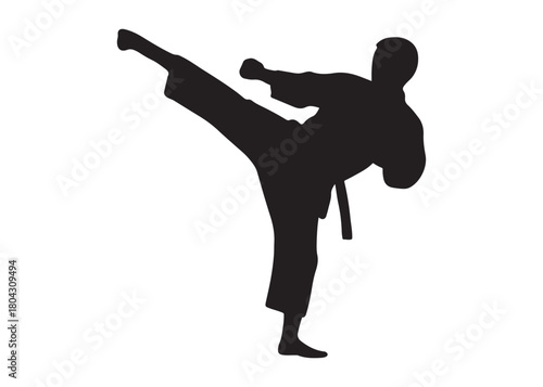 karate logo silhouette vector, karate fighter silhouette vector illustration, karate fight martial silhouette logo, karate fight martial arts logo silhouettes vector on white background
