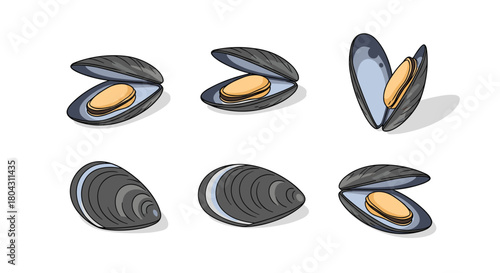 Fresh mussels set, delicious seafood delights, culinary design elements, perfect for restaurant menus and gourmet food projects, seafood concept