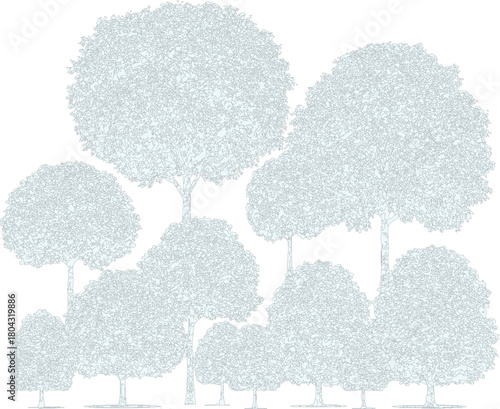described features a black and white line drawing of a group of trees; creating a visually engaging representation of a small forest 