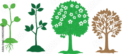  described showcases the different stages of a tree's life cycle, illustrating how trees grow and change over time.