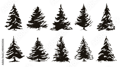 Set of hand-drawn grunge style pine and fir tree silhouettes. Forest winter holiday design elements.