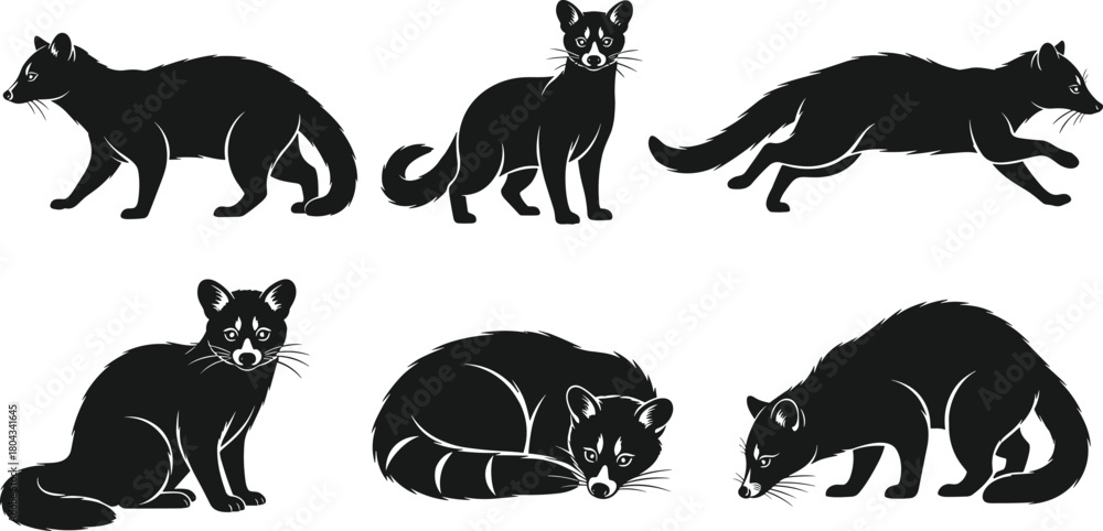 Naklejka premium Civet cat silhouette vector, exotic animal illustration, predator mammal pose, side view composition, cad drawing flat vector illustration, whisker detail