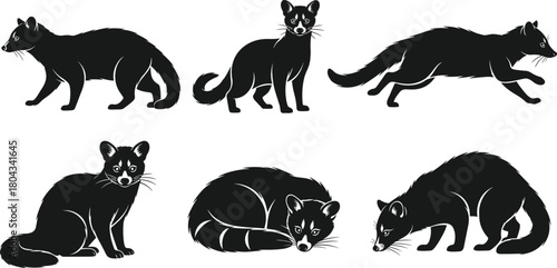 Civet cat silhouette vector, exotic animal illustration, predator mammal pose, side view composition, cad drawing flat vector illustration, whisker detail