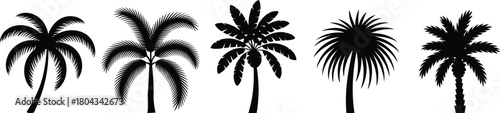 Set of varied tropical palm tree silhouettes. essential graphic elements for beach, vacation, summer, and exotic designs.