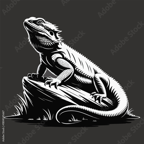  bearded dragon lizard silhouette vector on white background