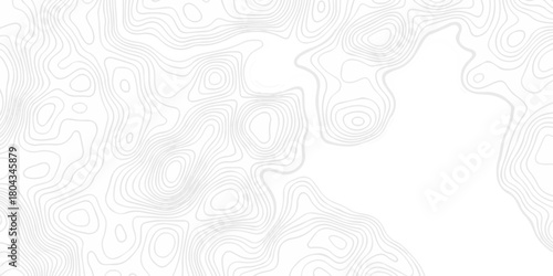 Minimal vector topo paper lines Topographic contour lines grid map seamless pattern. Abstract topography pattern seamless lines sea map modern design white background. Terrain map contours swirl grid.