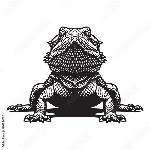  bearded dragon lizard silhouette vector on white background