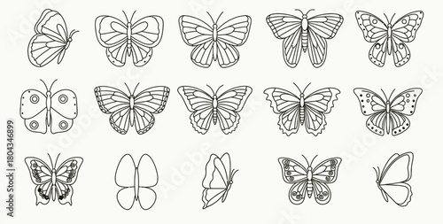 Collection of intricate line art butterfly illustrations in various poses