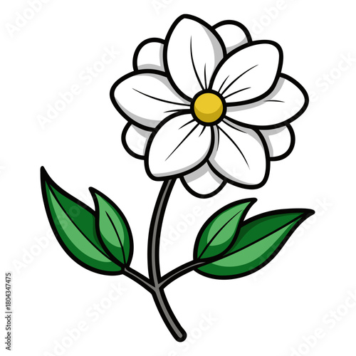 floss white line art on white background