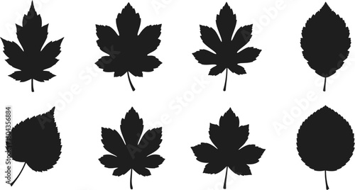 Set of leaf silhouettes
