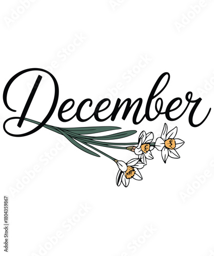 December brings winter’s chill, blooming flowers, and festive holiday cheer.