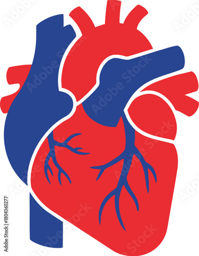 Stylized graphic illustration of a human heart showing major arteries and veins in vibrant red and blue, symbolizing health, cardiology, and anatomical science for medical and educational contexts