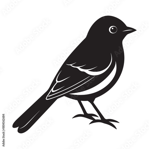 Black phoebe silhouette black vector icon