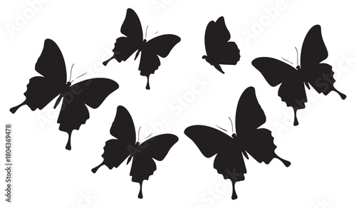  Circle of silhouetted butterflies on a white background symbolizing nature and transformation
