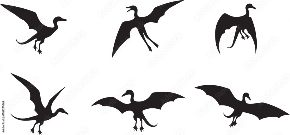 Naklejka premium vector silhouette of unique bird