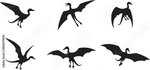 vector silhouette of unique bird