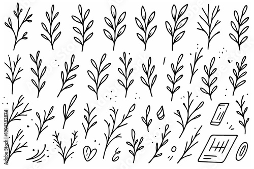 Hand-drawn doodle vector set of branch accents created in a fun sketchy style isolated on white background

