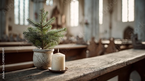 Small potted spruce with candle on wooden pew in church for peaceful holiday atmosphere in sacred space