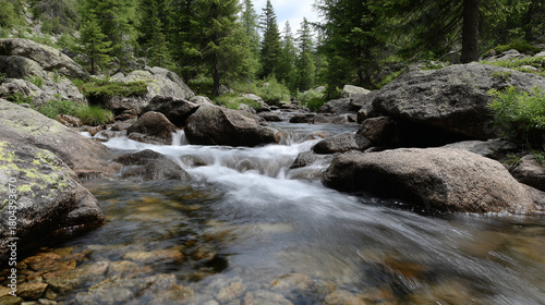 Pristine mountain stream.