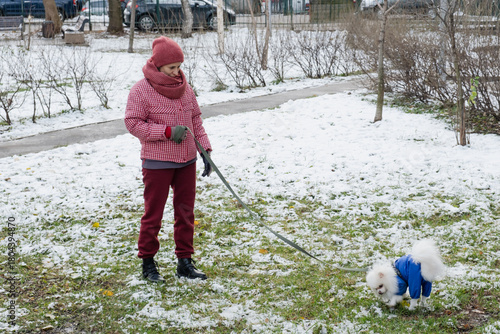 Woman in a winter jacket walks her white Spitz dog in a blue outfit as it sniffs the snowy grass in a residential urban area.