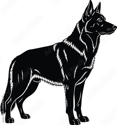 German shepherd dog vector illustration black and white pet animal art eps silhouette