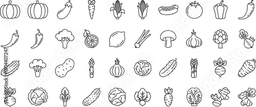 Vegetable line icons set, healthy food outline symbols, fresh organic farm produce, vegetarian cooking ingredients, isolated vector illustration collection, drawing