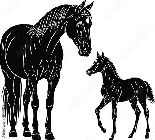 Horse with foal silhouette in elegant black vector illustration
