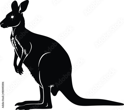 Kangaroo wildlife silhouette vector illustration