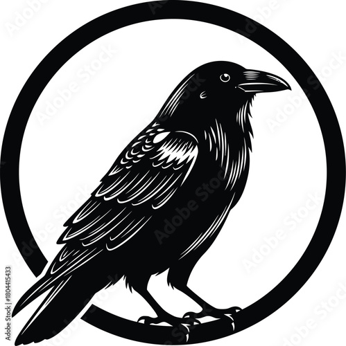 Black raven illustration vector graphic design symbol logo clip art icon eps silhouette