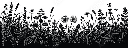 Decorative floral grass border silhouette with wild plants and leaves