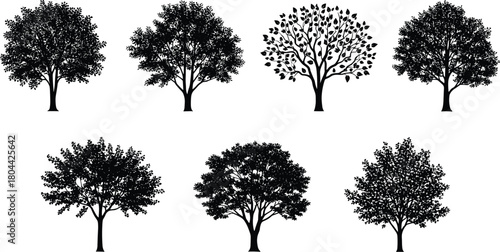 Collection of detailed black tree silhouettes isolated on white background for landscape and nature design.