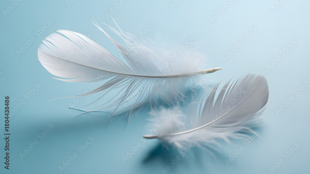 Fototapeta premium Elegant White Feathers on Light Blue Background: Soft, Delicate, and Minimalist Design for Dreamy, Peaceful, and Serene Concepts