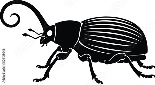Black and white weevil illustration beetle insect vector art design eps silhouette