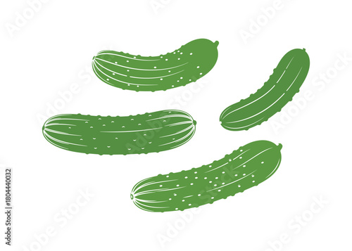 Cucumber vector graphic fresh veggie for salads. Perfect clip-art for labels, menus, packaging, or displays.