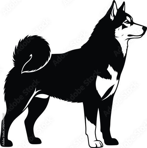 Siberian husky dog breed profile information and care guide black white eps silhouette