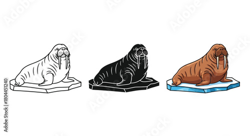 Walrus ice, presented in three styles outline, silhouette, and full color, ideal for arctic or wildlife illustrations