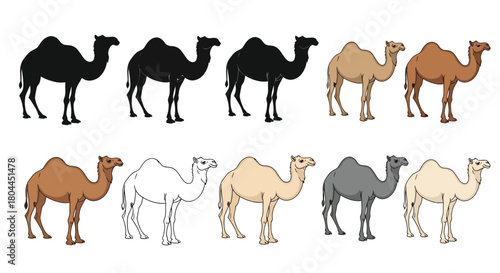 Camel silhouettes and color variations, perfect for desert themes