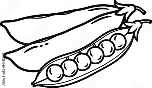 Pea pod outline vector illustration fresh vegetable drawing isolated eps silhouette